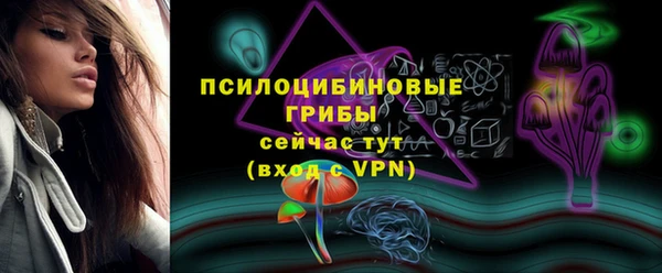 дживик Алексеевка