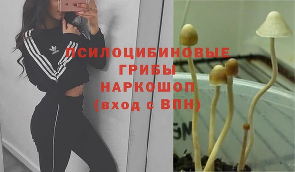 дживик Алексеевка