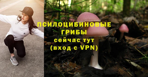 мескалин Алзамай