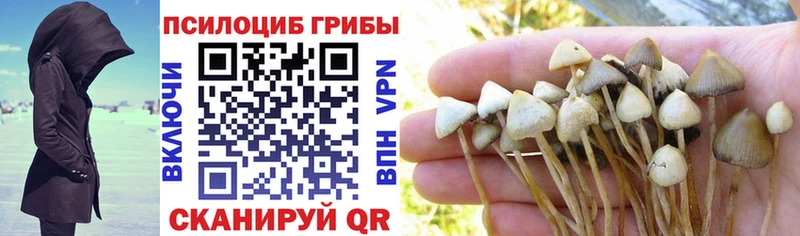 магазин  наркотиков  omg ссылки  Псилоцибиновые грибы ЛСД  Сольвычегодск 
