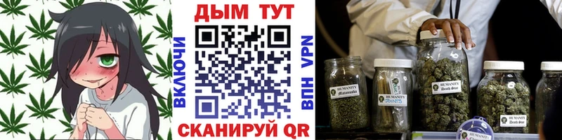 Бошки марихуана OG Kush Сольвычегодск